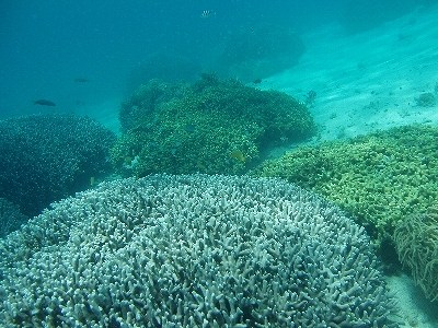 7月27日　野崎35.jpg